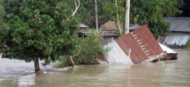 বন্যায় ২০ লাখ মানুষ ক্ষতিগ্রস্ত: দুর্যোগ প্রতিমন্ত্রী