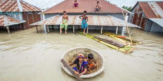 বন্যায় ১১ জেলায় মৃত্যু বেড়ে ৫৪